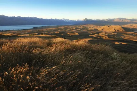 Southern Alps