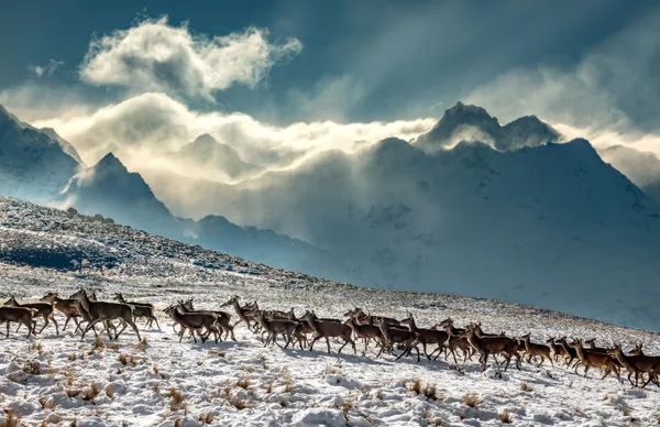 Premium Deer Lake Tekapo Irishman Creek Station